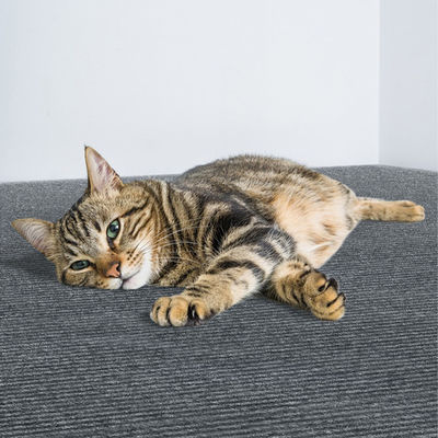 60*200 ซม.Cat Scratch เฟอร์นิเจอร์ Protector Self-กาว Cat Scrating Mat