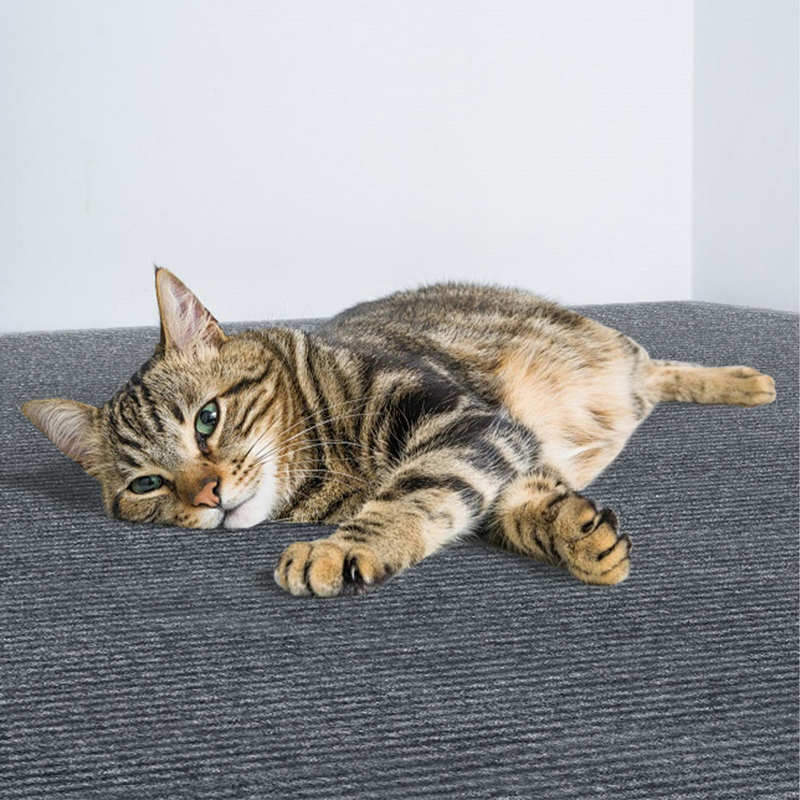 40*100cm Trimmable Self-Adhesive Cat Scratcher Carpet For Covering Cat Tower